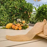 Olga\'S Organic Garden Home For A Couple! With Wifi & Ac