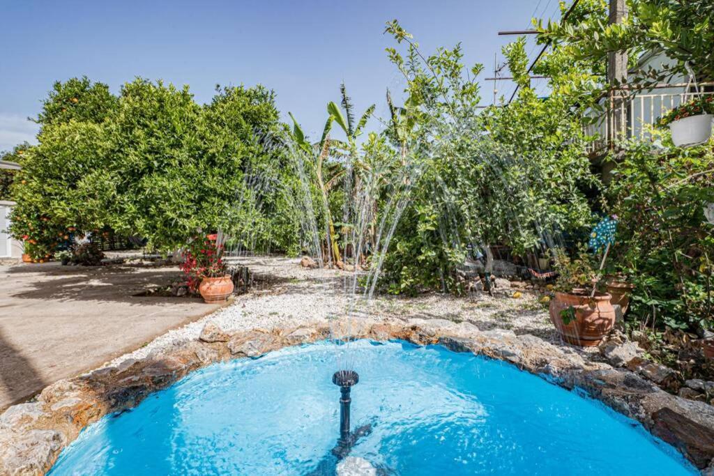 Olga's Organic Garden For A Couple! With Wifi & Ac * Khania