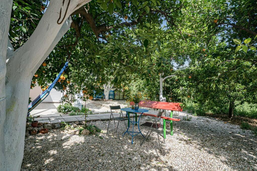 Olga's Organic Garden For A Couple! With Wifi & Ac Feriehus *
