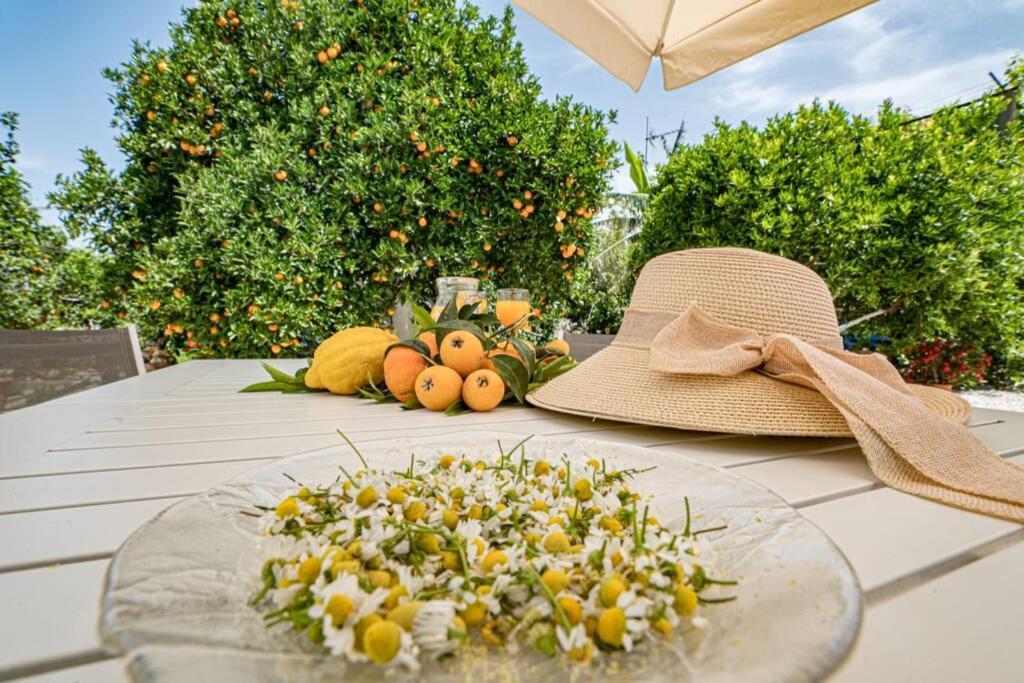 Olga's Organic Garden For A Couple! With Wifi & Ac Khania
