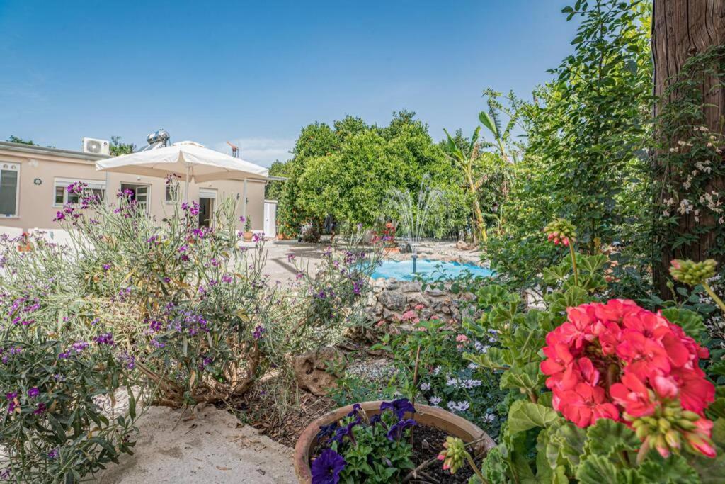 Olga's Organic Garden For A Couple! With Wifi & Ac