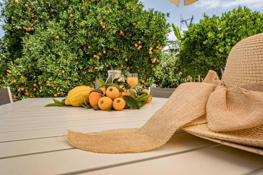Olga's Organic Garden For A Couple! With Wifi & Ac *